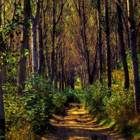 _IGP7344_tonemapped-2